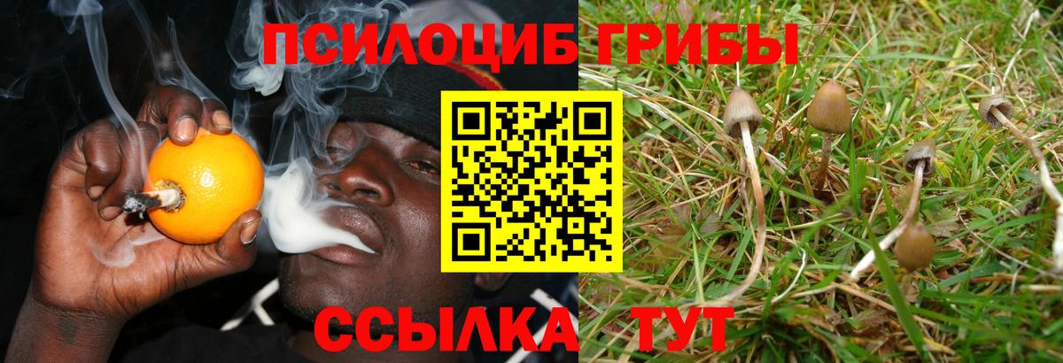 Галлюциногенные грибы Psilocybine cubensis  Псилоцибиновые грибы GOLDEN TEACHER  Тобольск  Вход с VPN 